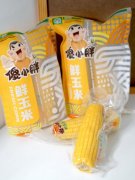 傻小胖,不傻的匠心!一颗鲜食玉米的品质坚守