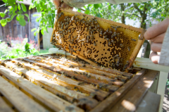 那个在深山戴面纱的人，给了我振聋发聩的告诫